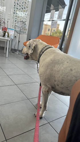 Λ, Βασ. Κωνσταντίνου 20, Βάρη 166 72