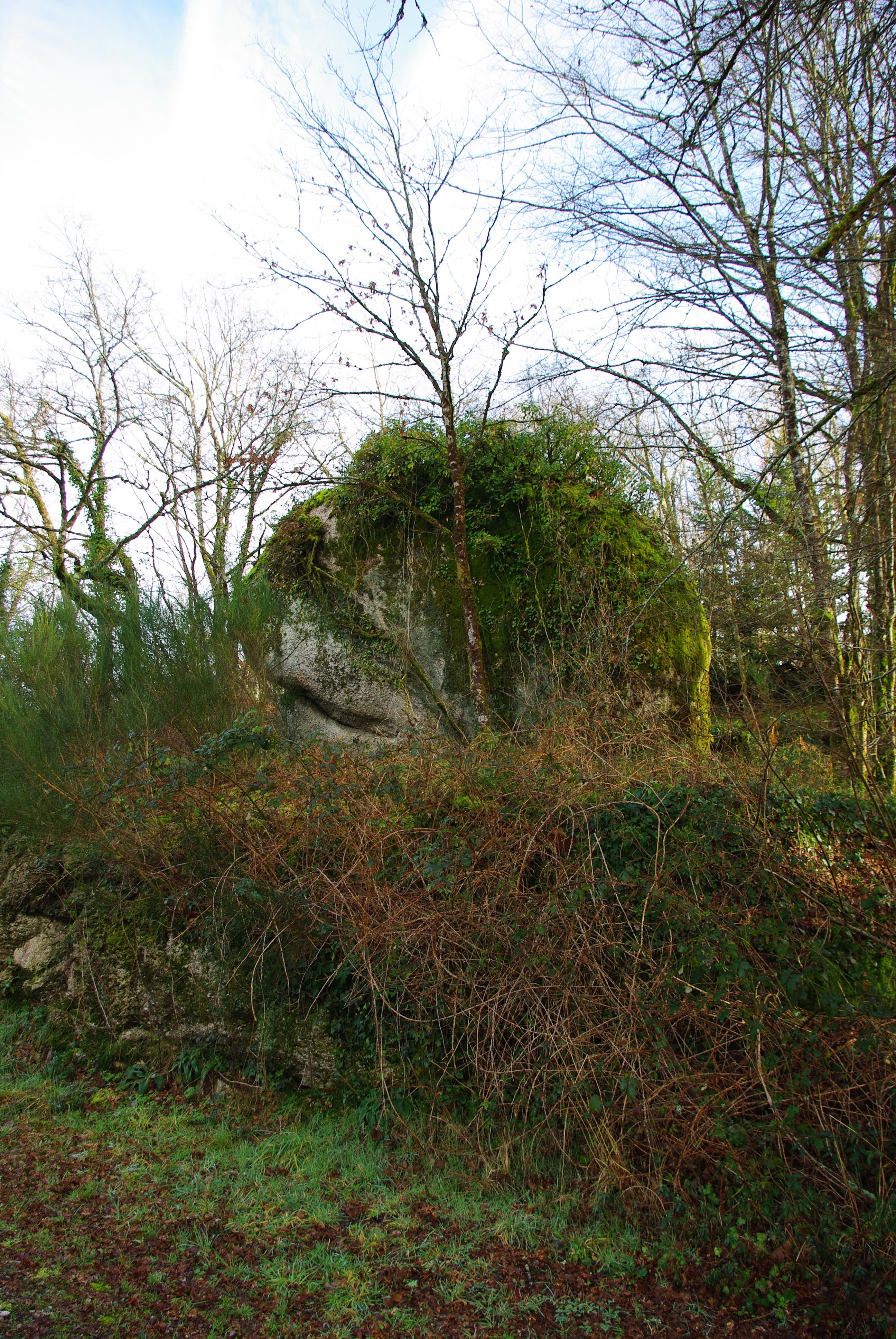Photo n° 2 de l'avis de eric.e fait le 28/01/2024 à 16:44
