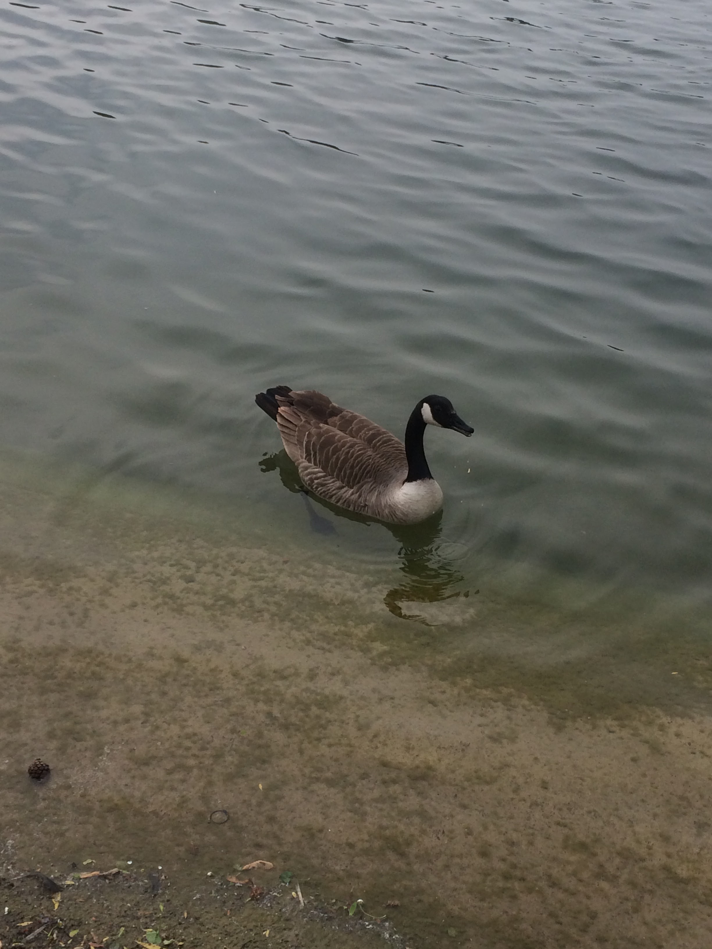 Photo n° 6 de l'avis de Sema. fait le 01/05/2019 à 17:19