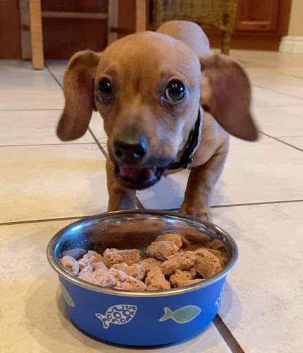 Pet Supply Store «Pet X Supplies & Tack», reviews and photos, 132 W Highland Rd Suite 101, Howell, MI 48843, USA