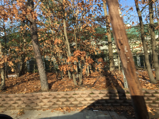 Self-Storage Facility «The Lock Up Self Storage», reviews and photos, 380 Mark Tree Rd, Setauket- East Setauket, NY 11733, USA