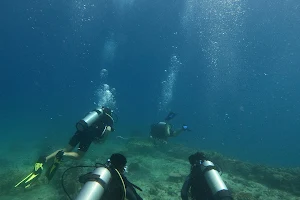 Ocean School Andaman image