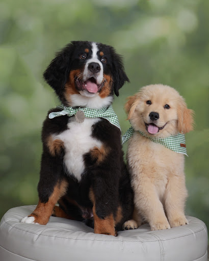 Department Store «JCPenney», reviews and photos, 8417 Park Meadows Center Dr, Lone Tree, CO 80124, USA