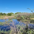 Las Lagunas de Anza Wetlands