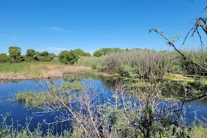 Las Lagunas de Anza Wetlands image