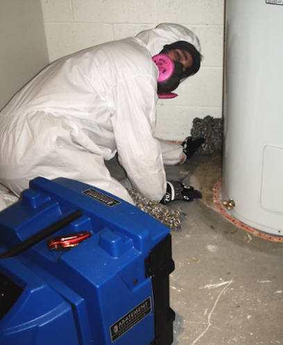 Canada's Restoration Services - Toronto Mold and Asbestos Removal