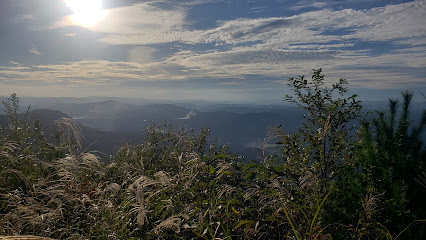 大平山展望台