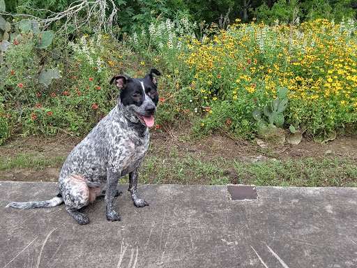 Nature Preserve «Jackson Nature Park», reviews and photos, 9284 County Rd 401, Stockdale, TX 78160, USA