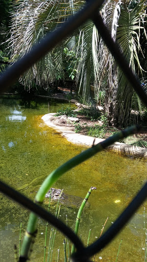 Zoo «Gulf Breeze Zoo», reviews and photos, 5701 Gulf Breeze Pkwy, Gulf Breeze, FL 32563, USA