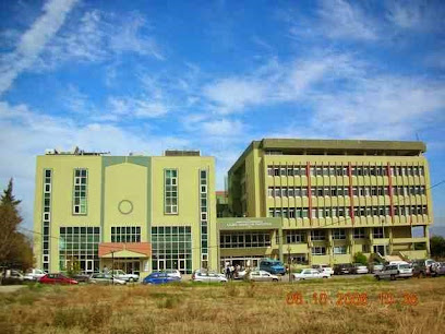 Dokuz Eylül Üniversitesi Güzel Sanatlat Enstitüsü