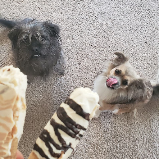 Pet Supply Store «Three Dog Bakery Inc», reviews and photos, 13904 Town Center Blvd # 200, Noblesville, IN 46060, USA