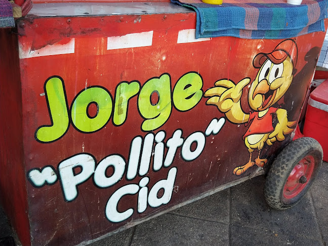Pollito - Jorge Cid - Angol