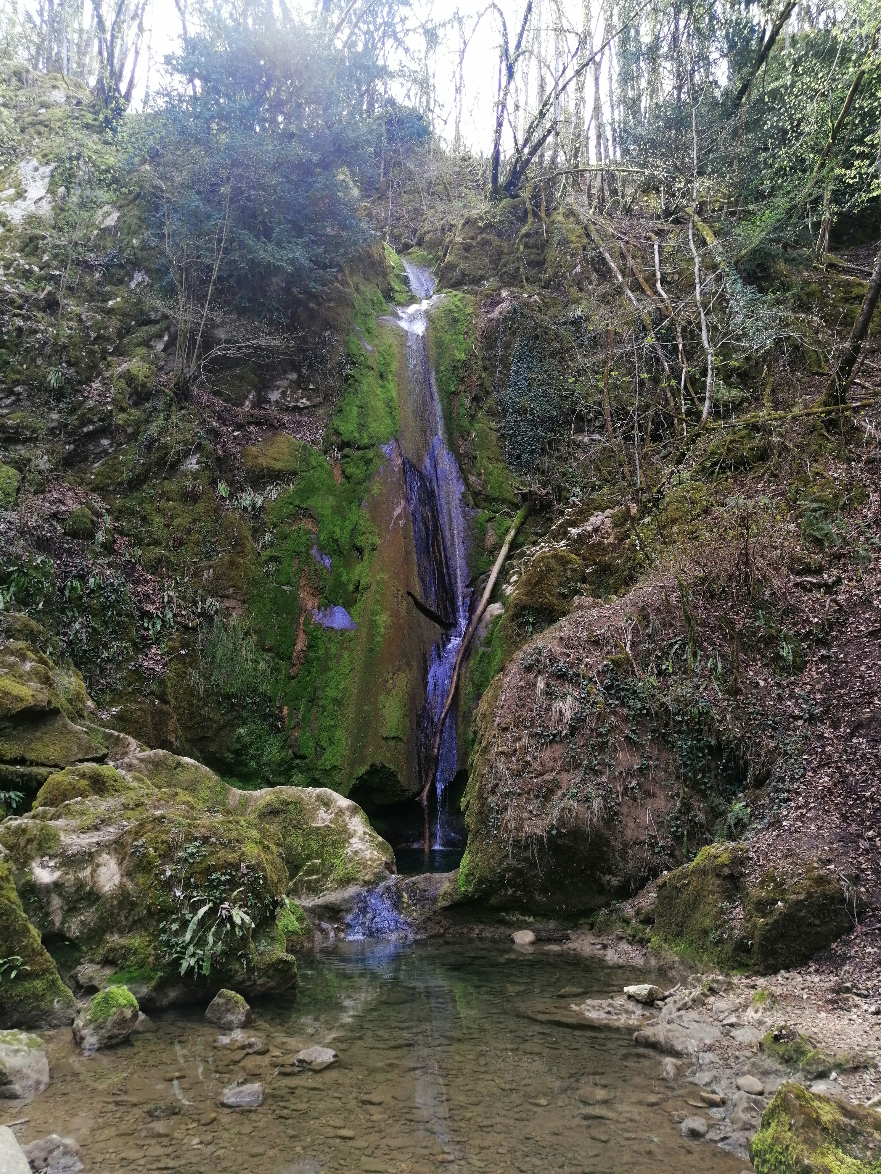 Photo n° 1 de l'avis de Maurice.e fait le 12/04/2023 à 05:42