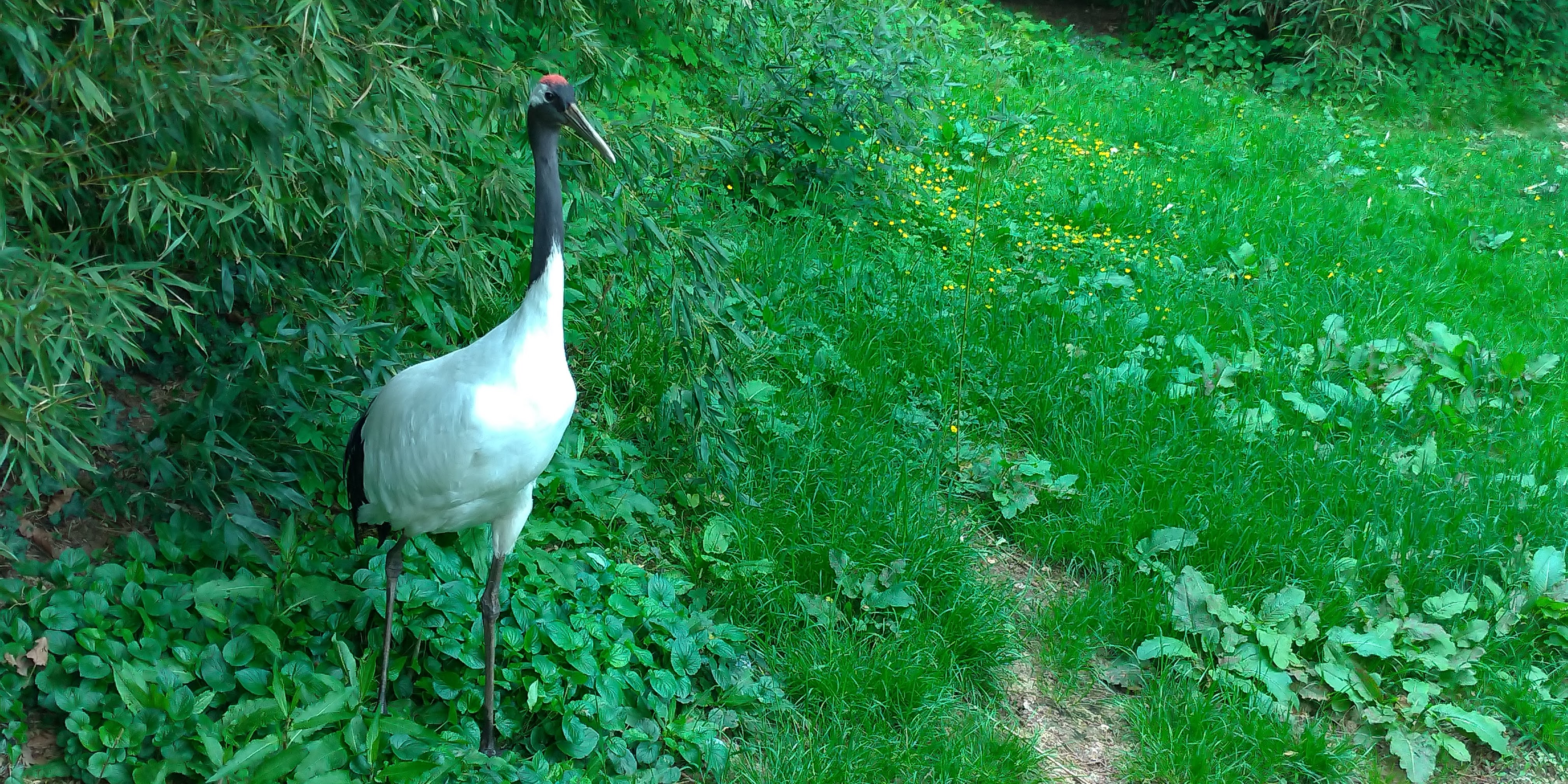Photo n° 2 de l'avis de Maxime.E fait le 19/05/2019 à 20:15