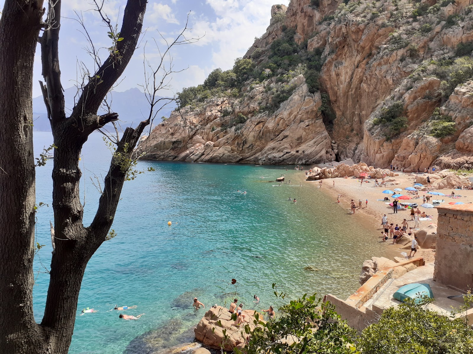 Foto di Ficaghjola beach con una superficie del piccoli ciottoli beige