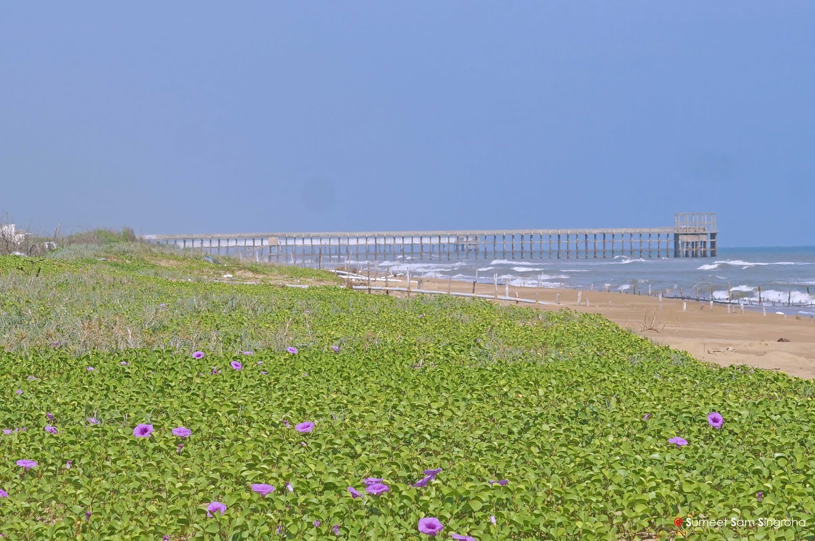 Fotografie cu Kotha Koduru Beach - locul popular printre cunoscătorii de relaxare