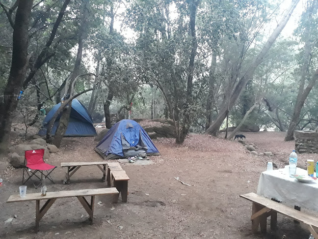 Camping las Lajas - Camping