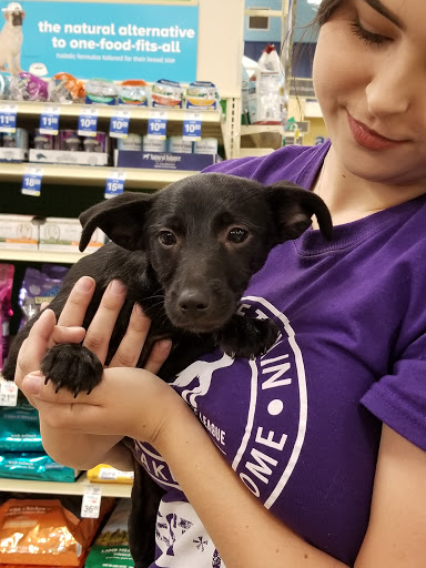 Pet Supply Store «PetSmart», reviews and photos, 5435 W TX-1604 Loop N, San Antonio, TX 78253, USA