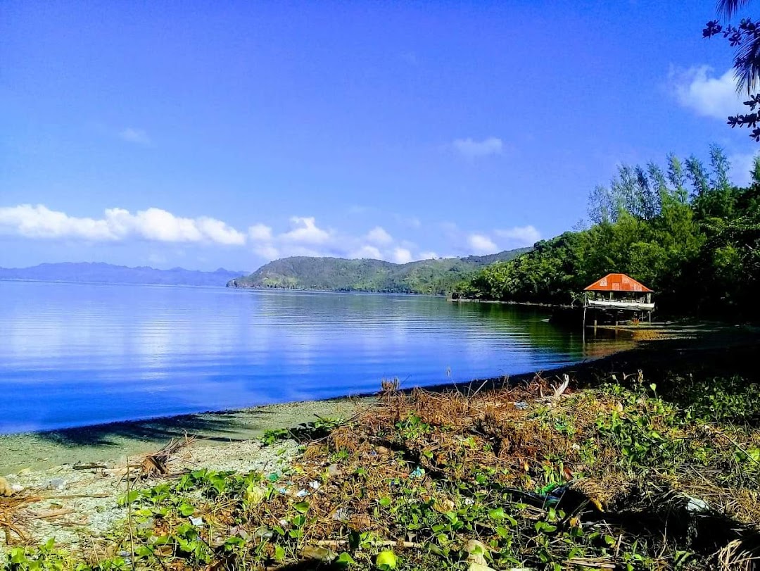 Barangay. Wilson San Jose Dinagat Islands