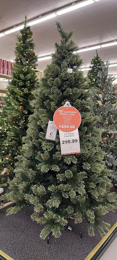 Craft Store «Hobby Lobby», reviews and photos, 2540 S Washington Ave, Titusville, FL 32780, USA