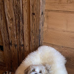 Photo n°2 de l'avis de Teresa.e fait le 07/03/2024 à 12:58 sur le  Manna Resort à Montan an der Weinstraße