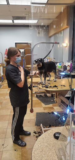 Pet Supply Store «PetSmart», reviews and photos, 4749 Valley View Blvd NW, Roanoke, VA 24012, USA