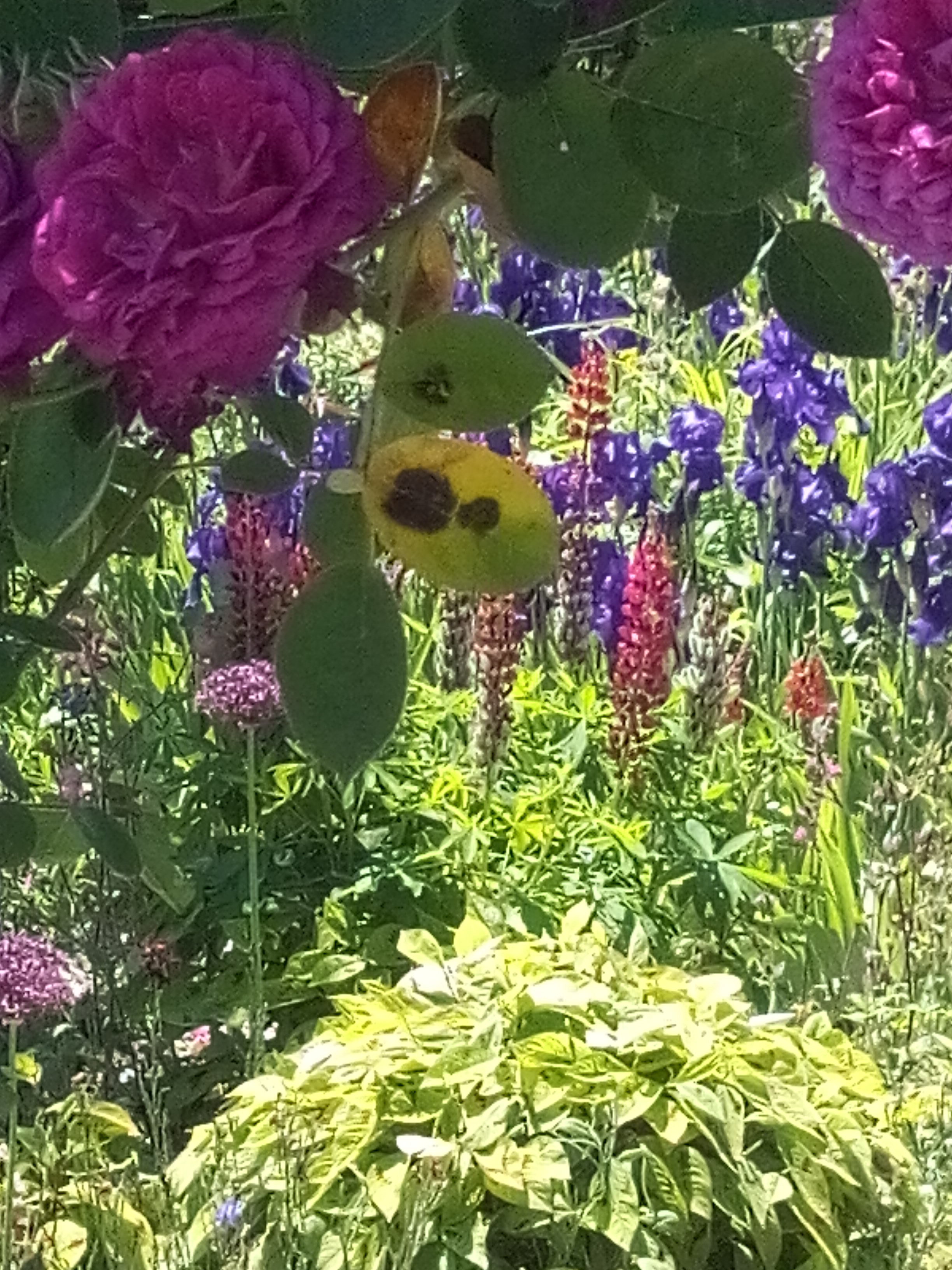 Photo n° 6 de l'avis de M. fait le 02/06/2019 à 08:14