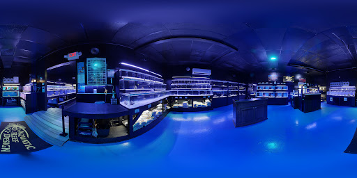 Aquarium «Aquatic Design & Development Group, LLC», reviews and photos, 1725 SW 17th St, Ocala, FL 34471, USA