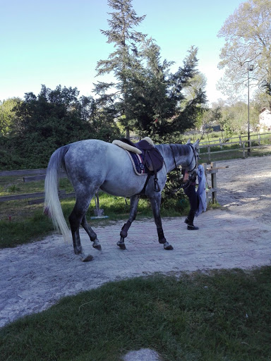 Alkuz horse riding school