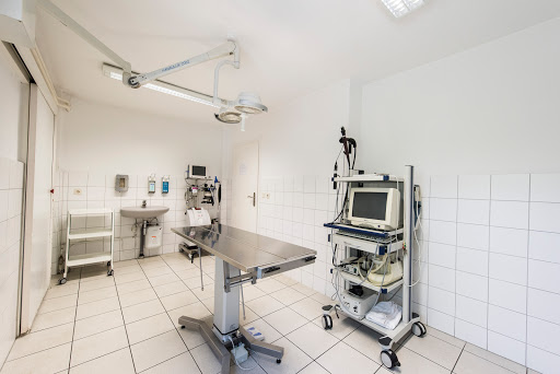 Veterinary practice for small animals unter Cottbus, Brandenburg