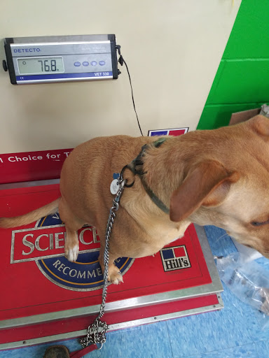 Pet Supply Store «Pet Supplies Plus», reviews and photos, 4100 Legacy Dr Suite 402, Plano, TX 75024, USA