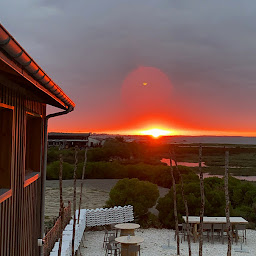 Photo n°35 de Chez Bidart - Dégustation d’huîtres à Gujan-Mestras ()