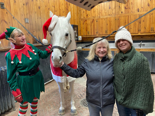 Tourist Attraction «The Tempel Lipizzans», reviews and photos, 17000 W Wadsworth Rd, Old Mill Creek, IL 60083, USA