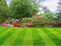 ⭐ Lawn Care Of Chattanooga - Photo 8 - Car repair in , Chattanooga