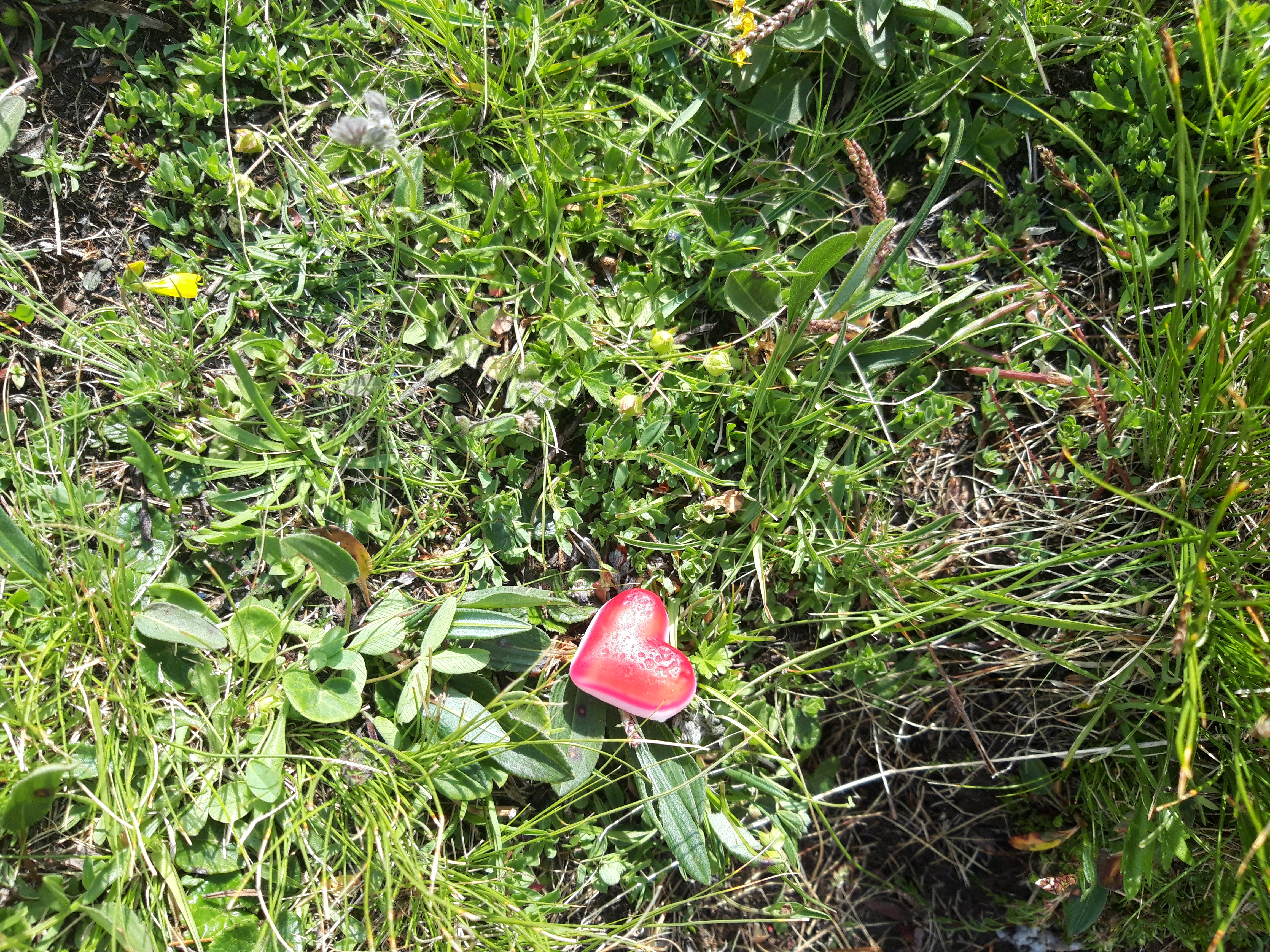 Photo n° 7 de l'avis de Annie.l fait le 10/08/2021 à 05:44