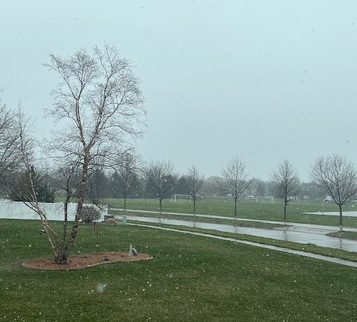 Explore hidden name tattoo ideas, creative tattoo ideas in Johnston, available at Brows & Body