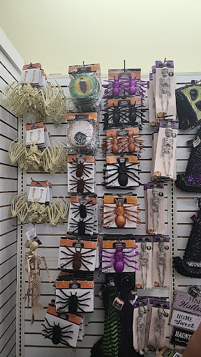 Dollar Store «Dollar Tree», reviews and photos, 1351 Southern Dunes Blvd, Haines City, FL 33844, USA