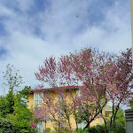 Photo n°13 de l'avis de Mirko. fait le 04/08/2022 à 20:06 sur le  City Hotel Dresden Radebeul à Radebeul