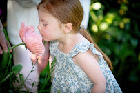 Nick Felkey Photography - Photo 2 - Car repair in Bainbridge Island, WA, Bremerton