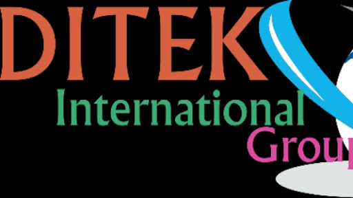 Ditek International Group (DIG)