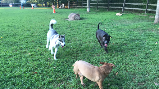 Rowayton Dog Park