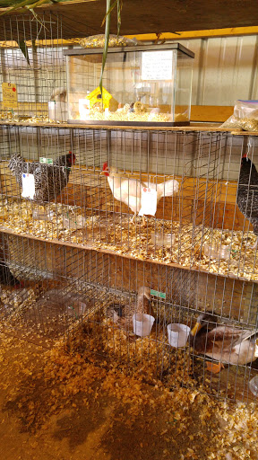 Community Center «High Plains Community Center», reviews and photos, 525 Orange Center Rd, Orange, CT 06477, USA