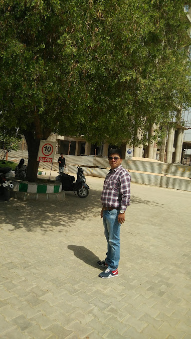 Google Maps image 15