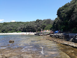 Kanalic beach'in fotoğrafı vahşi alan