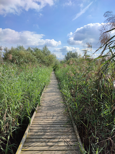 Unnamed Road, 4253 Geer, België