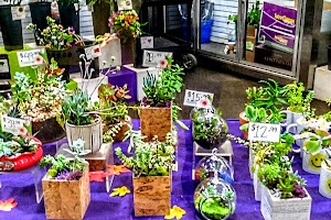 The Philadelphia Flower Market
