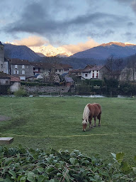 Photo n°41 de Sirgant René à Oust ()