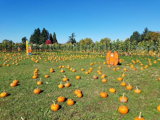 Market «E Z Orchards Farm Market», reviews and photos, 5504 Hazelgreen Rd NE, Salem, OR 97305, USA