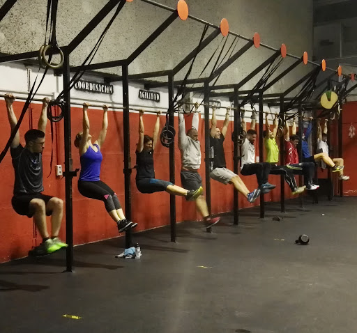 Indian: Weightlifting & Fitness en Castilleja de la Cuesta, Sevilla
