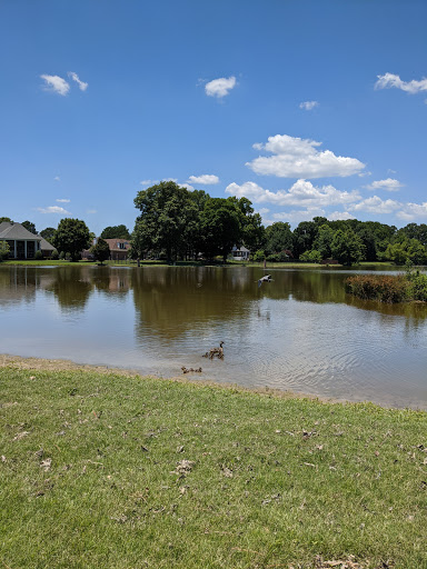 Golf Course «Plantation Golf Club», reviews and photos, 9425 Plantation Rd, Olive Branch, MS 38654, USA